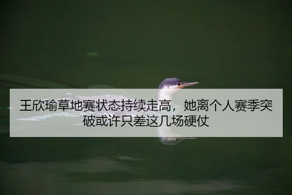 王欣瑜草地赛状态持续走高，她离个人赛季突破或许只差这几场硬仗